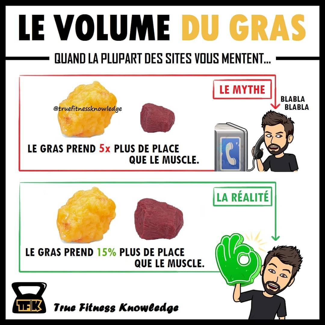 La graisse brune True Fitness Knowledge